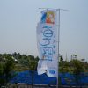 大阪舞洲「ゆり園」と中之島「バラ園」散策ぶらり旅