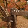 滋賀県長浜市の鶏足寺・石道寺紅葉散策ぶらり旅