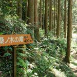 桑ノ木の滝遊歩道(あと400m)