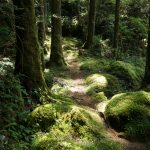 桑ノ木の滝遊歩道