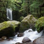 桑ノ木の滝・右側(NDフィルター)