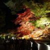 仕事帰りに京都の禅林寺 永観堂のライトアップを見に散策ぶらり旅