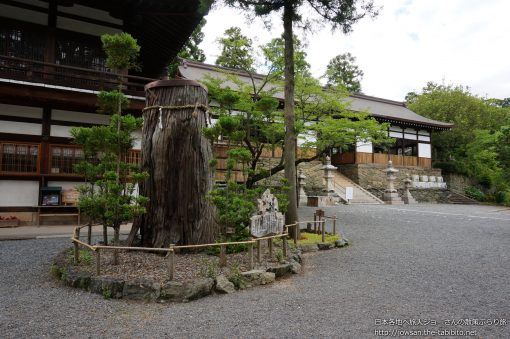 2013-06-12 和歌山県_伊太祁曽神社
