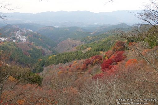 2014-11-23 奈良県_中千本公園「紅葉」