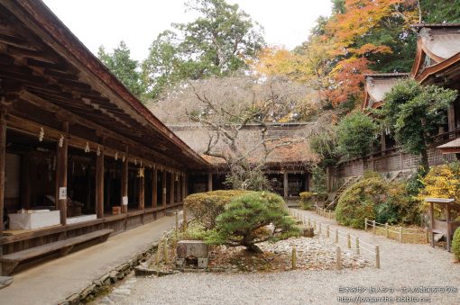 2014-11-23 奈良県_吉野水分神社「紅葉」
