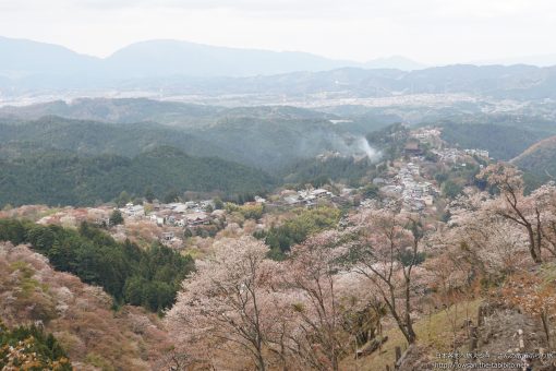 2015-04-12 奈良県_花矢倉展望台「桜」