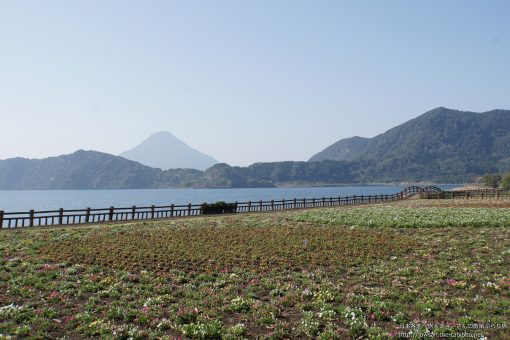 2016-03-20 鹿児島県_池田湖