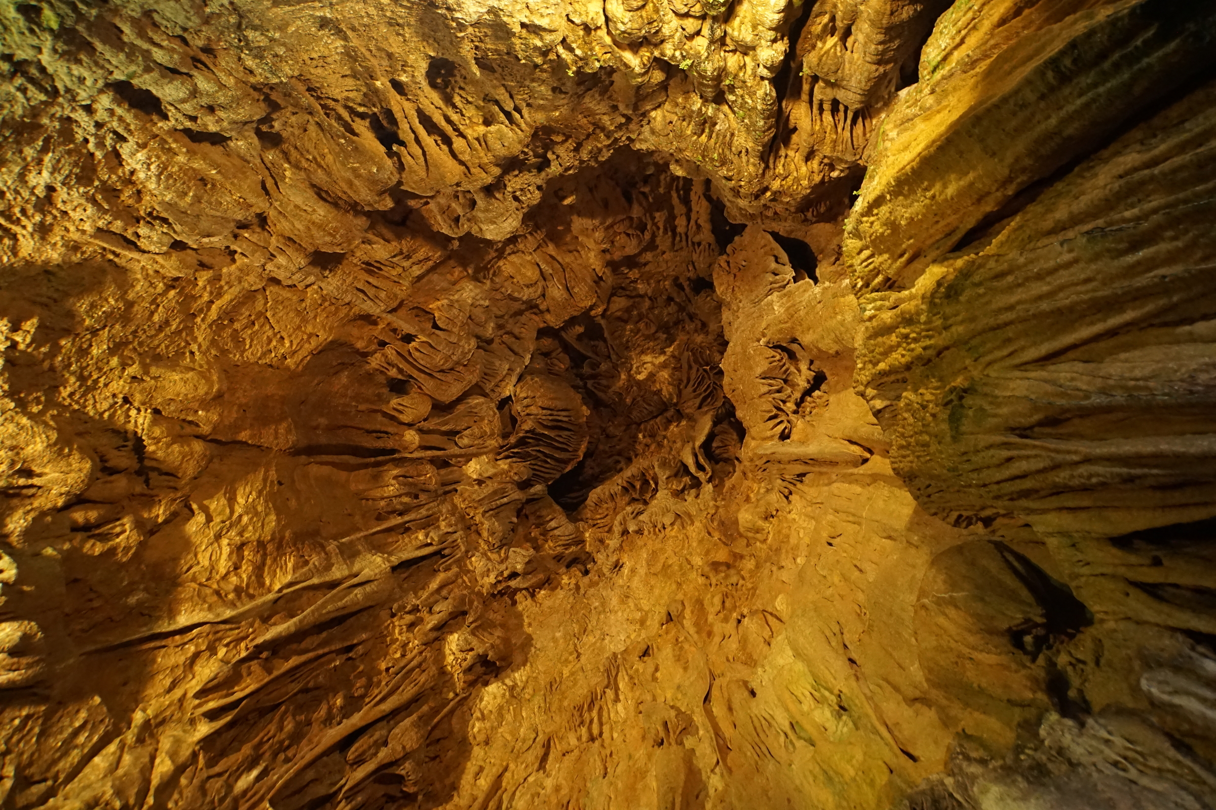 岡山県新見市のもう一つの鍾乳洞 井倉洞 へ散策ぶらり旅 今日はどこを旅しよう